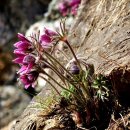 문산1리 이미지