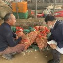 이문성농장 이미지