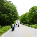 황금가든 이미지