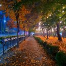 남해아구.꽃게.해물전문 이미지