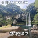 제주 가족여행지 추천 천지연폭포 제주도 아이랑 가볼만한곳(야간개장 관광지)