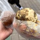 성남 모란시장 | 5일장 맛집 영진네 칼국수 유명 손칼국수 후기