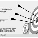 용의꼬리 이미지