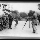 강아지 대통령 이미지