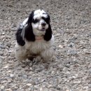 도기누리 이미지