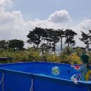 갯벌펜션(민박) 이미지