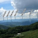 귀둔곰배령입구주차장 | 초록빛 힐링 가득했던 곰배령 여름트레킹,강선계곡따라 걷는 천상의 꽃밭