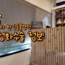 시드니 고양이 중성화 비용 및 절차 후기 (스트라역 한인동물병원)