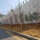 현광의원 이미지