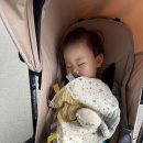 1135 | 오사카 김포 아시아나 비즈니스 OZ1135 기내식