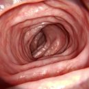 더편한장내과의원 이미지