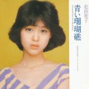 푸른산호초 - 김해시 | 푸른산호초