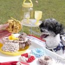 새공예박물관 이미지