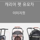 도그매니아 네이버블로그