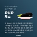 에코푸드시스템 이미지