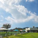 하이, 멍 이미지