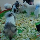 남악유치원 이미지