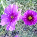 북한강변길 이미지