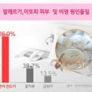 본 힐링하우스
