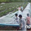 진안농협동향지점 뉴스1