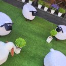 수빈목장 이미지