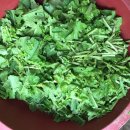 남동족구장 이미지