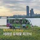 써킷일레븐11(써킷11) | 서래섬 유채꽃 피크닉 해치카 정류장 시간표 등 이용 꿀팁