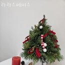 라라스페이스 이미지