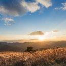 민둥산운동장 1 네이버블로그