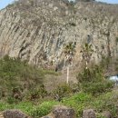 올레 비치 이미지