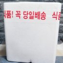 성안호