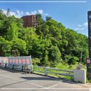 뜰안에 칼국수 이미지