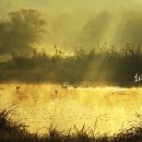 해뜰무렵 이미지