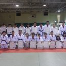 세븐스포츠