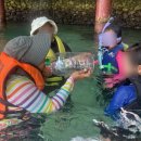 리프어학원 | 세부한달살기, 세부 바다수영장 블루리프 데이유즈