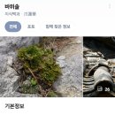더스카이레스토랑 | 여의도 맛집 63빌딩 터치더스카이 레스토랑 후기 (흑백요리사 조은주 셰프, 프로포즈 디너, 코스요리...