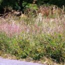 황제이불 - 경주시 충효1길 34 | 황제이불