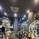 레이디 휘트니스 이미지