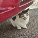 아이에스 PC방 | 11월 3일