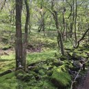 호수가에풍경가든 이미지