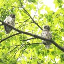 함양군청 이미지