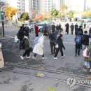 금양초교 이미지