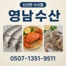 영남유통 | 포항 수산 포항문어 영남수산 대공호 선주가 직접 잡아 도소매가 내돈내산 후기