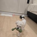 에이치에비뉴 인천주안점 이미지