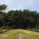 박강 묘역 및 석물 이미지