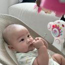 가림낙지볶음 | [+162일]