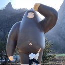 울릉도와 독도이야기펜션 이미지