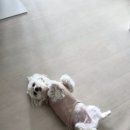와플대학하계장미캠퍼스