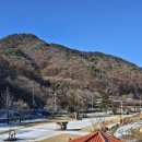 문경수예리오토캠핑장 | 2026년 리뉴얼 완료! 문경 수예리오토캠핑장 가족·애견동반 캠핑장 소개