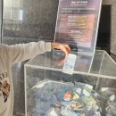 이마트24 장수중앙점 | 국립중앙박물관 우리들의 이순신 특별전과 어린이박물관 관람 후기